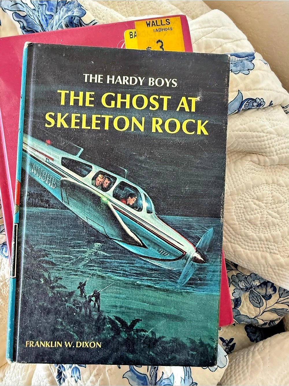 The Ghost at Skeleton Rock Hardcover Book in Black & Blue